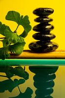 Ginkgo am Wasser