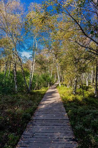 En route dans le parc national de la Rhön