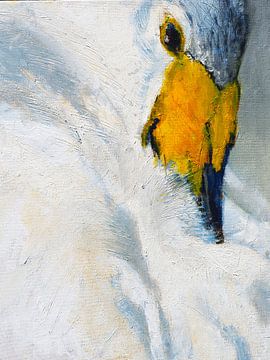 Schwan mit Schnabel zwischen Federn von Thea Bouwman