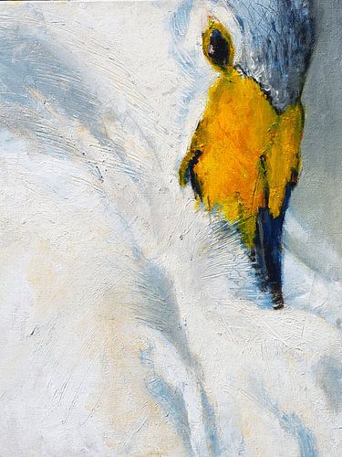 Zwaan met snavel tussen de veren van Thea Bouwman