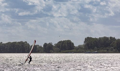 Windsurfer in actie