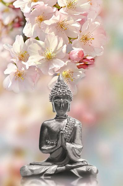 Buddha by Violetta Honkisz