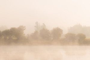 Bank im Nebel von Tania Perneel