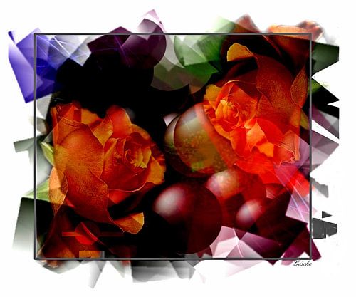 Rose