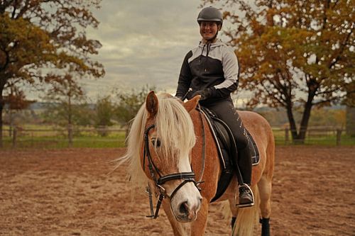 Training met de lichtbruine Haflinger met beige manen