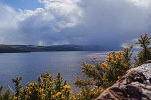 Loch Ness von Sylvia Photography