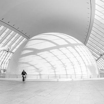 Fietsen in de Hemisphere van Jose Gieskes