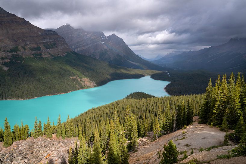 Peyto Lake, Icefield Parkway, Banff National Park, Alberta, Kanada von Alexander Ludwig