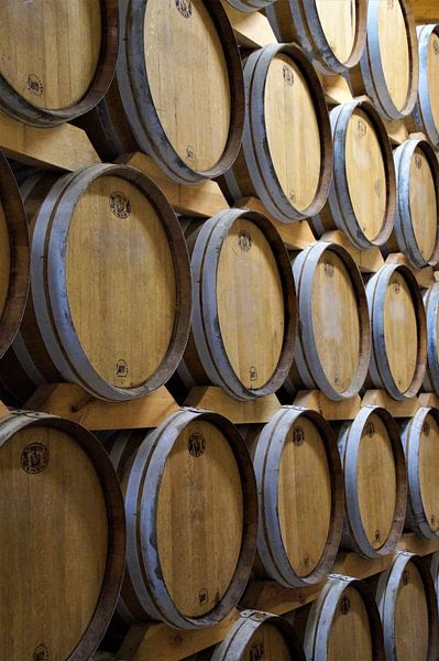 Cognac barrels Vignerons Ile de Re by Maurits Bredius