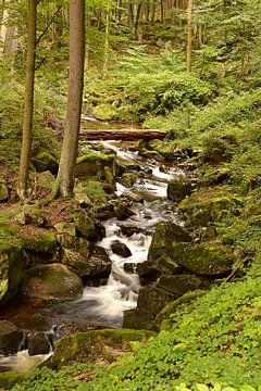 De rivier de Ilse in het Harz Nationaal Park