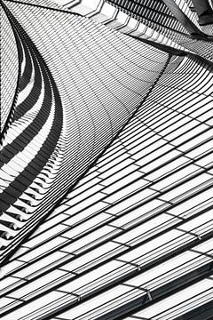 Lines & Cuvers van MientjeBerkersPhotography