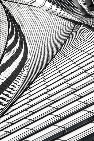 Lines &amp; Cuvers von MientjeBerkersPhotography