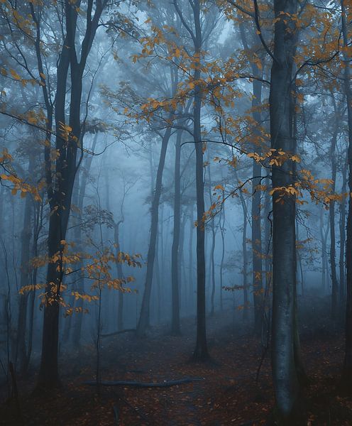 Romantischer Herbstwald von fernlichtsicht