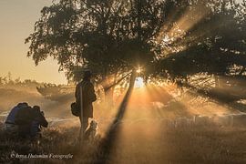 Strahlend von Irma Huisman