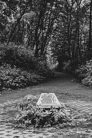 Wegweiser Zoutelande von Sanne van Pinxten