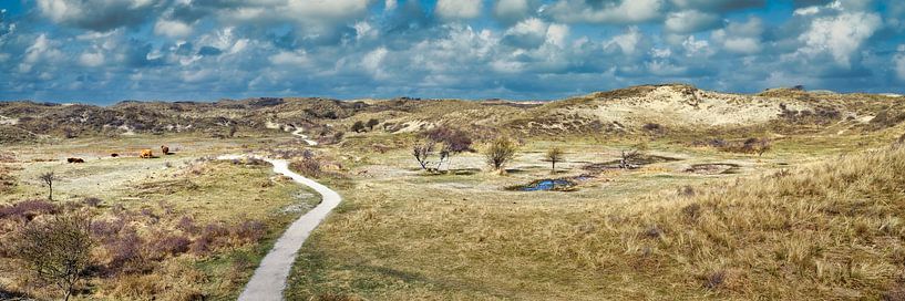 Dünen-Nationalpark Südliches Kennemerland von eric van der eijk