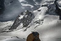 View of Aiguilles de Chamonix with mountaineer