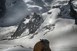 View of Aiguilles de Chamonix with mountaineer by Hans Lubout