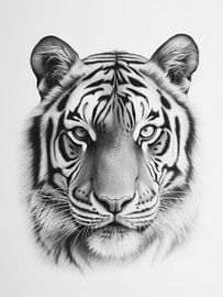 Schattenhafte Stärke