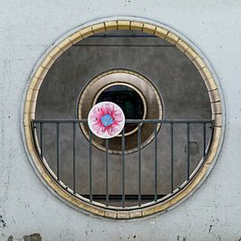 Tunnelvisie van Tim Loos