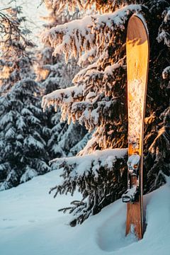 Skiën in de sneeuw van Poster Art Shop