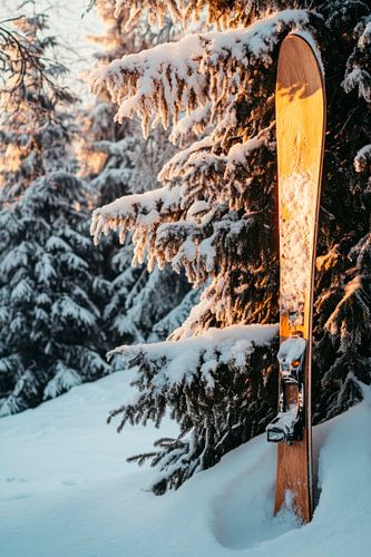Ski in the snow