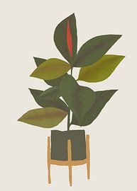 TW living - botanic home 4 von TW living