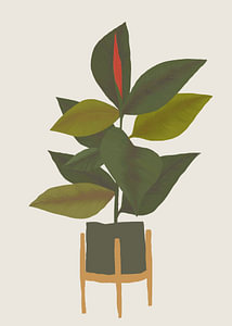 TW living - botanic home 4