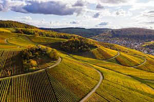 Luftbild Weinberge in Weinstadt im Herbst von Werner Dieterich