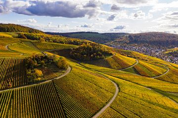 Luchtfoto van wijngaarden in Weinstadt in de herfst