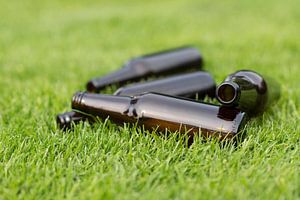 Lege bierflesjes in het gras