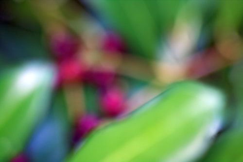 Wazig-fotografie-wazig van arte factum berlin