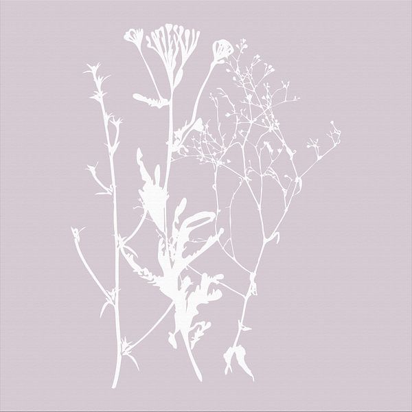 Botanica Delicata. Abstract Retro Botanical in Silver Mauve light purple by Dina Dankers