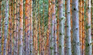 Bäume abstrakt von Marion Tenbergen