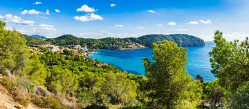 Prachtig panorama-uitzicht op het eiland Mallorca, idyllische zeekust van Camp de Mar, Spanje van Alex Winter