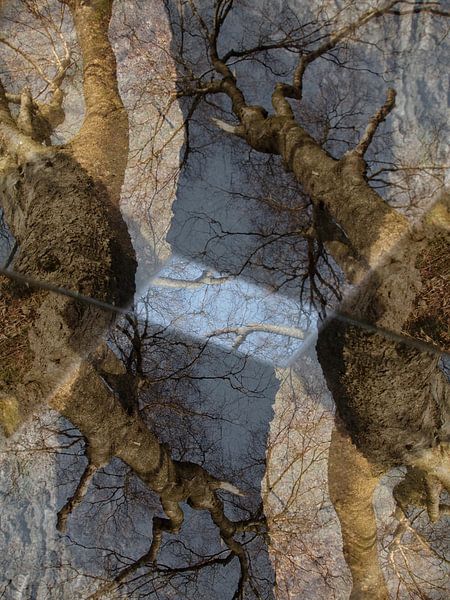 Crow&#039;s feet by Anita Snik-Broeken