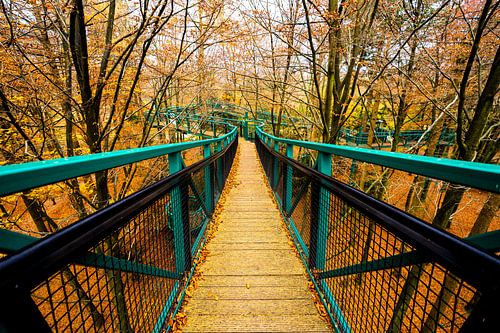 Lijnenspel door het bos