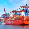 Containerschepen met containers die bij de containerterminal in de haven van Hamburg van Sjoerd van der Wal