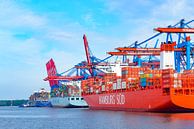 Containerschepen met containers die bij de containerterminal in de haven van Hamburg van Sjoerd van der Wal Fotografie thumbnail