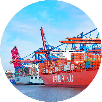 Containerschepen met containers die bij de containerterminal in de haven van Hamburg van Sjoerd van der Wal Fotografie