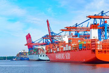 Containerschepen met containers die bij de containerterminal in de haven van Hamburg van Sjoerd van der Wal