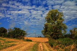 Champ de chaume à la fin de l'été sur Holger Felix