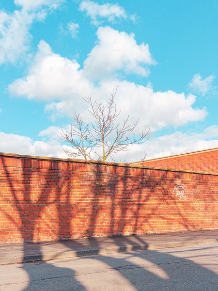 Jeu d'ombres par Thomas Procek