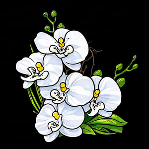 Weiße Orchideen im Nachtlicht.