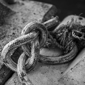 In de Knoop aan de kade van Zaankanteropavontuur