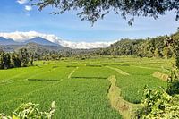 View with Sawa's and Mountains