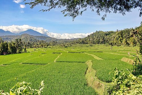 View with Sawa's and Mountains
