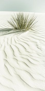 WHITE SANDS Dünen | Vintage Panorama