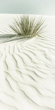 WHITE SANDS Dünen | Vintage Panorama von Melanie Viola
