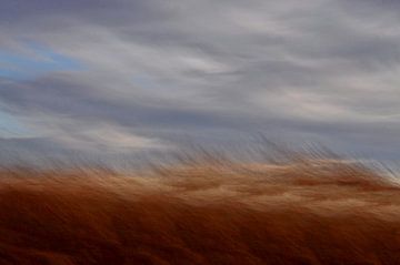 APULIEN von Miroslav Ptacek